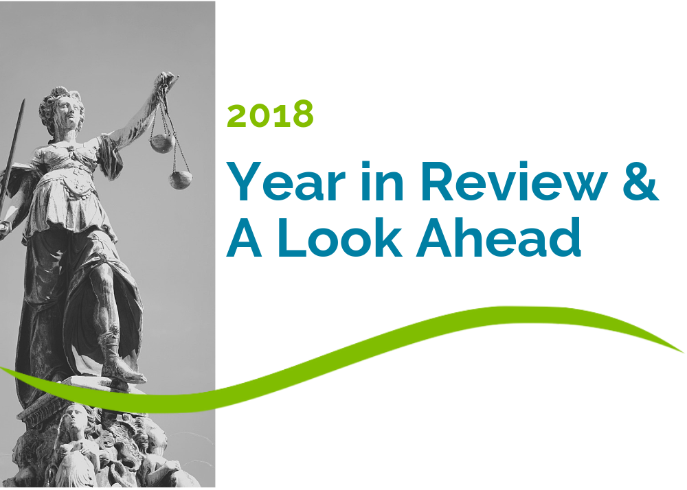 A Year In Review: Defending Local Democracy